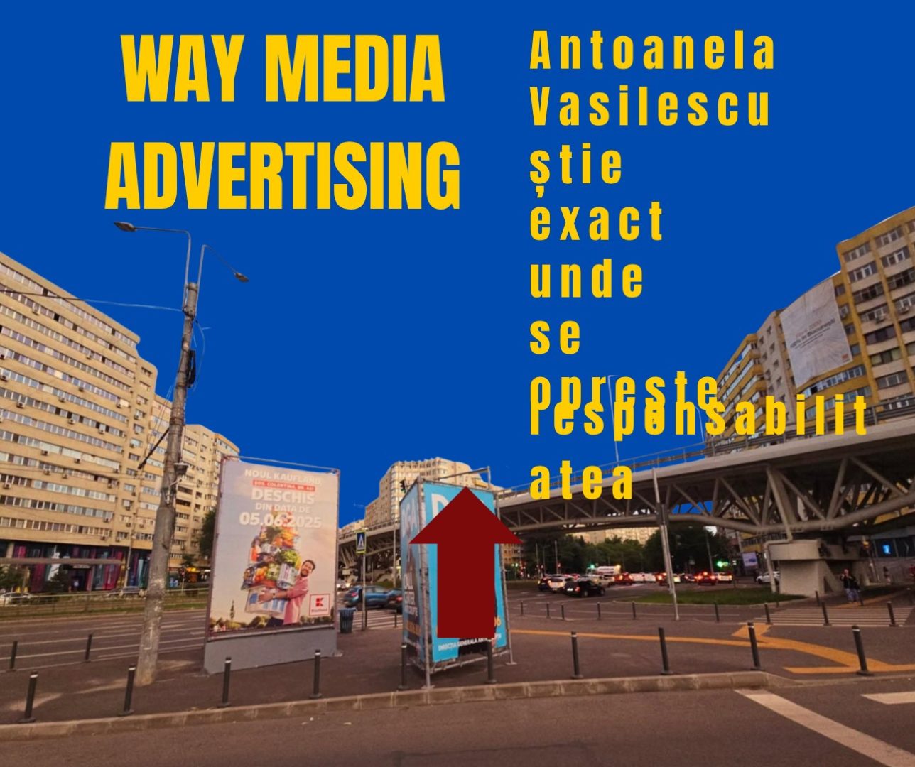 Way Advertise Production SRL: Antoanela Vasilescu și controversa publicității fără avize și plata taxelor la stat
